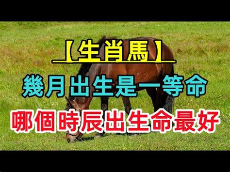 屬馬風水|2024屬馬幾歲、2024屬馬運勢、屬馬幸運色、財位、禁忌